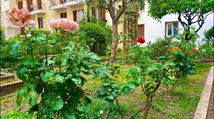 L'Avenir Du Ray Apartment Nice Ngoại thất bức ảnh